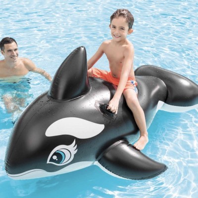 Grande baleine gonflable Intex 58561 Tunisie