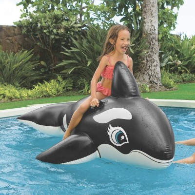 Grande baleine gonflable Intex 58561 Tunisie