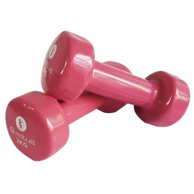 Paire Haltères Epoxy 2x 2kg SVELTUS (1182)