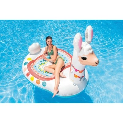 Intex 57291np TUNISIE