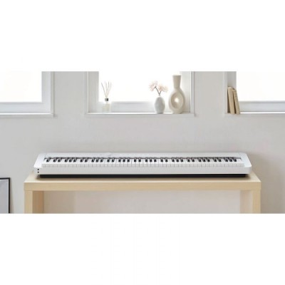 CASIO PX-S1000WEC2