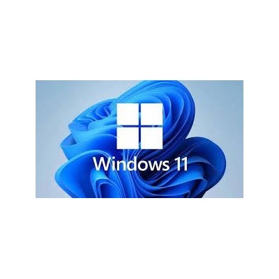 MICROSOFT WINDOWS 11 PROFESSIONNEL 64 BITS FR (FQC-10532)