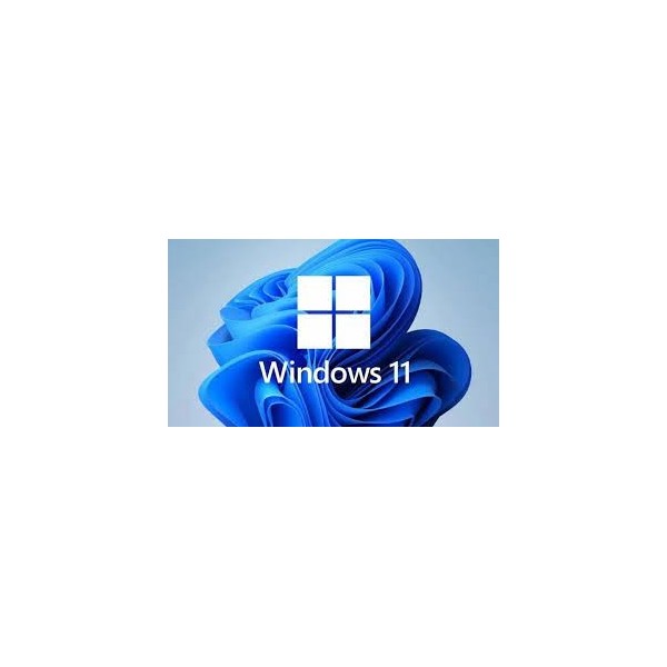 WINDOWS 11 PROFESSIONNEL FQC-10532