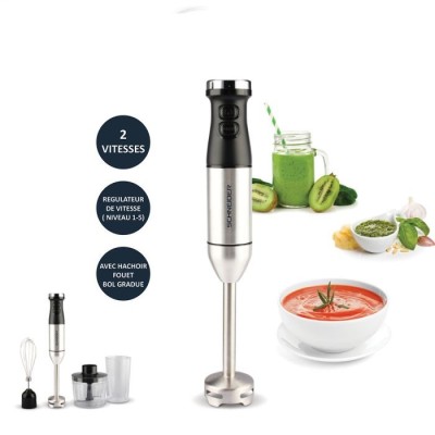 Mixeur plongeant Schneider SCHMIX600 Tunisie